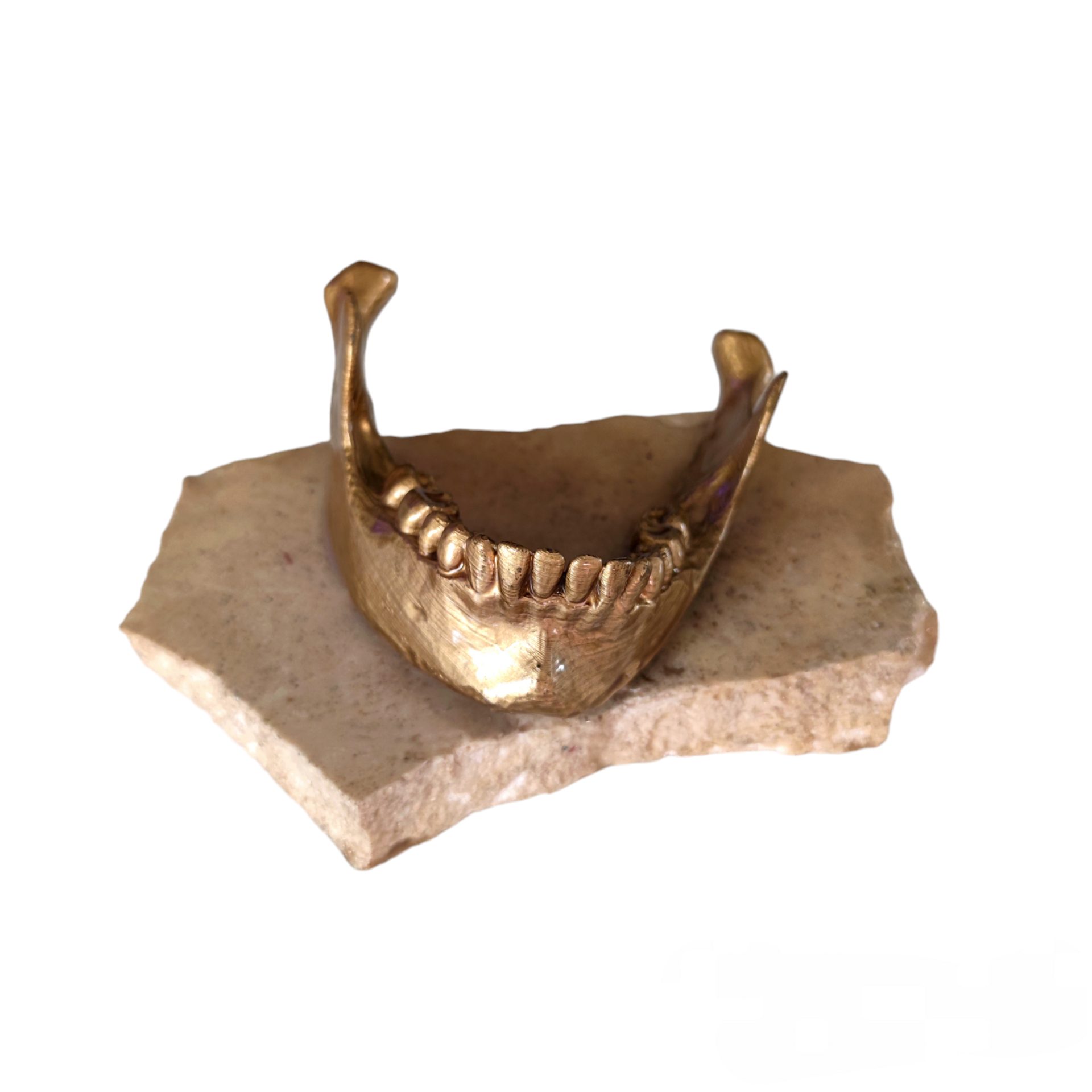 "Mandíbula de mármol" - 2